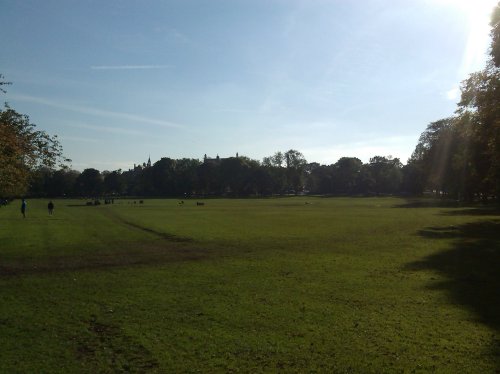 the meadows in autumn